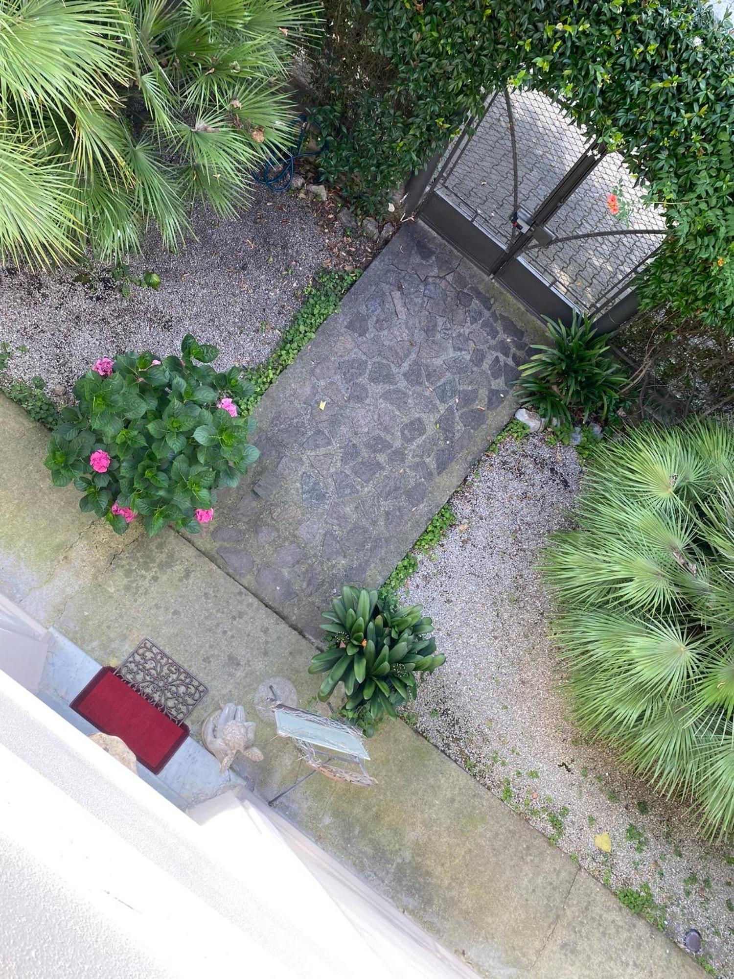 Casa Simonetti Bed & Breakfast Torre del Lago Puccini Bagian luar foto
