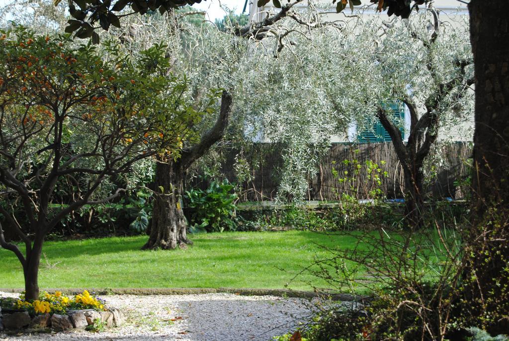 Casa Simonetti Bed & Breakfast Torre del Lago Puccini Bagian luar foto